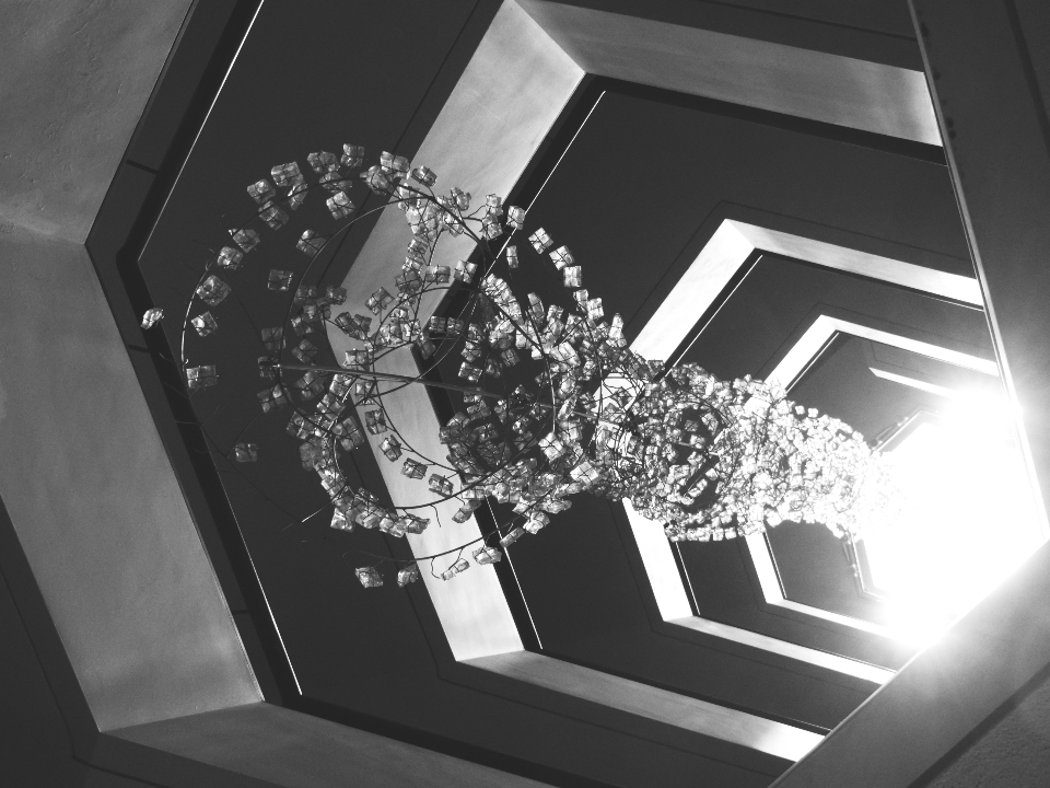 Chandelier and ceiling detail in an event ballroom